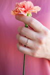 Hand holding a pink carnation against a pink background. Ring on finger